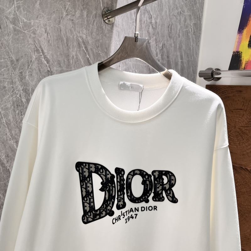 Christian Dior Hoodies